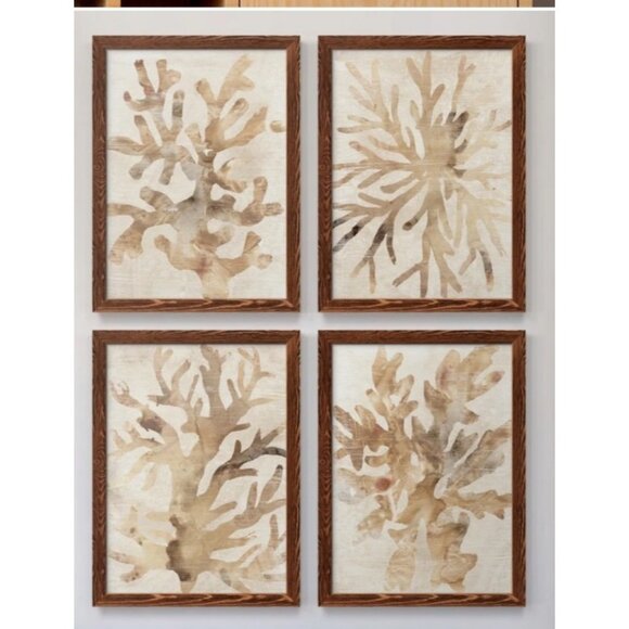Rosecliff Heights Botanical Wall Art Prints " Parchment Coral I " 4 - Pieces - Picture 2 of 9